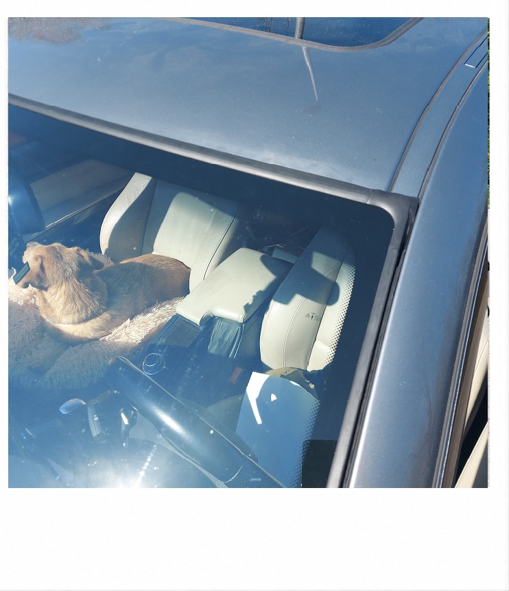 BMW E92 335 — renowacja uszczelek i szyb — po